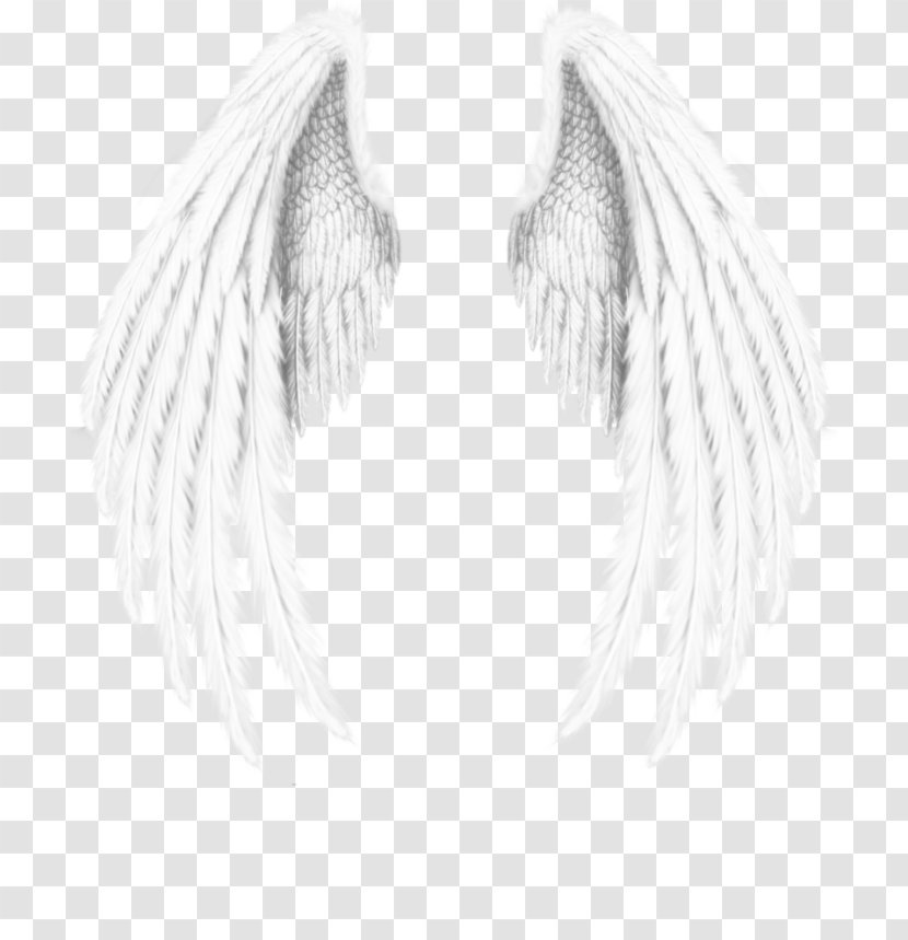 Angel Wing Download - Monochrome Photography - Wings Transparent PNG