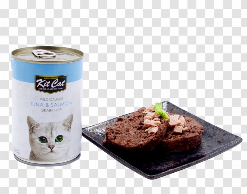 Cat Food Kitten Recipe - Wild Cats Transparent PNG