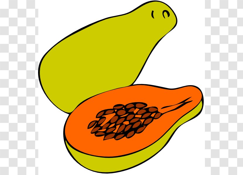Green Papaya Salad Pawpaw Clip Art - Free Content - Cliparts Transparent PNG