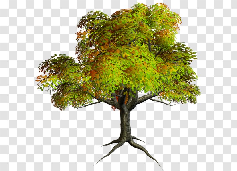 Tree Clip Art - Houseplant - Autumn Transparent PNG