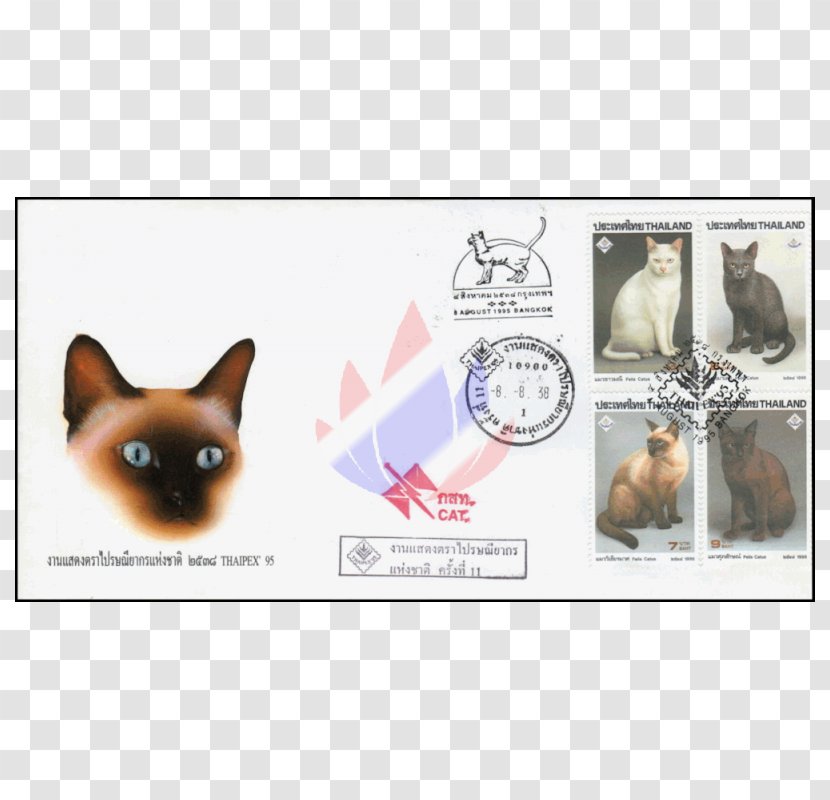 Whiskers Puppy Cat Dog Breed - Snout Transparent PNG