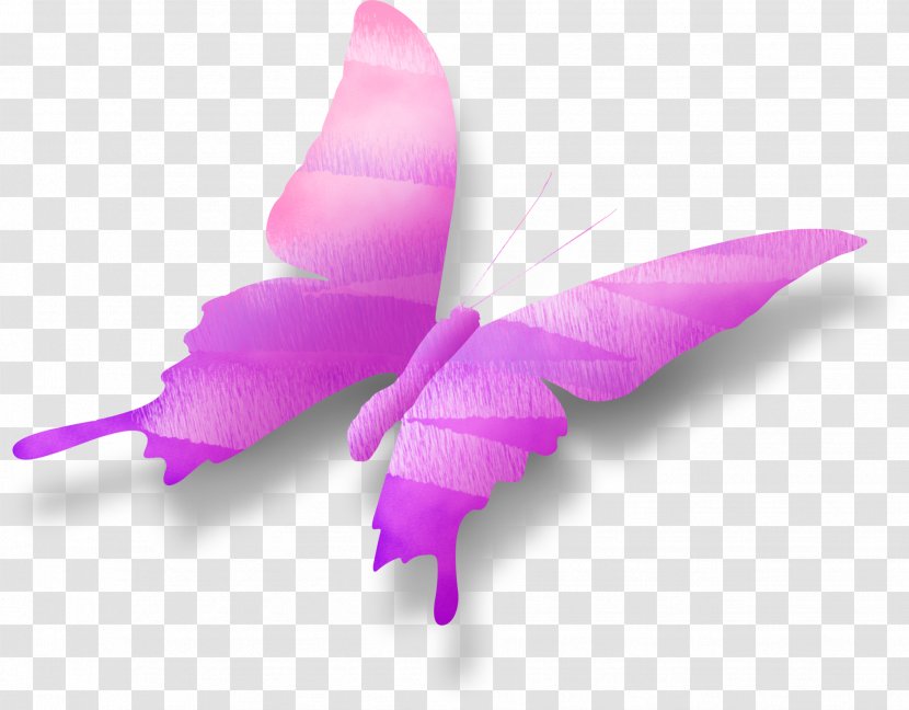 Butterfly Clip Art - Google Images Transparent PNG