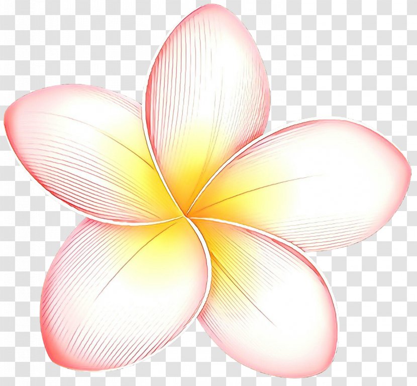 Desktop Wallpaper Product Design Pink M Line - Computer - Flower Transparent PNG