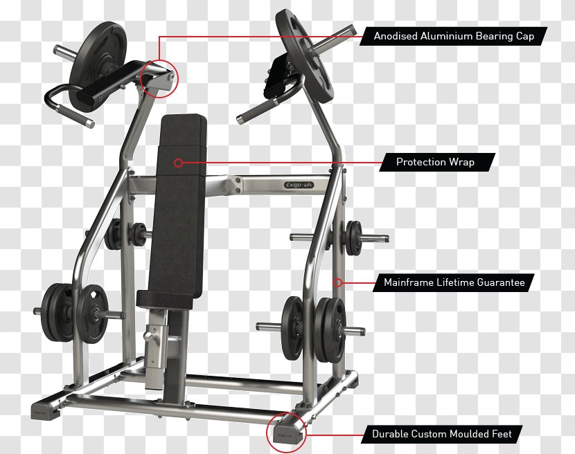 Fitness Centre Strength Training Overhead Press Physical Weight - Weights - Shoulder Transparent PNG