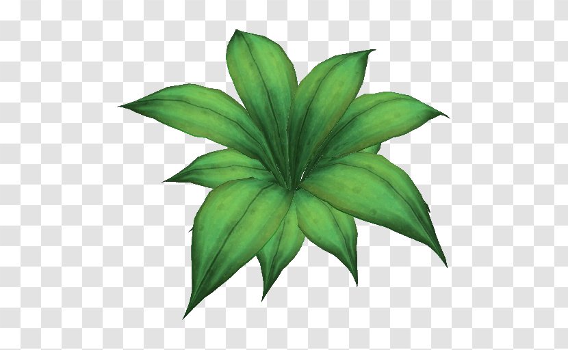 Leaf Shrubland Plant Stem - Flower Transparent PNG