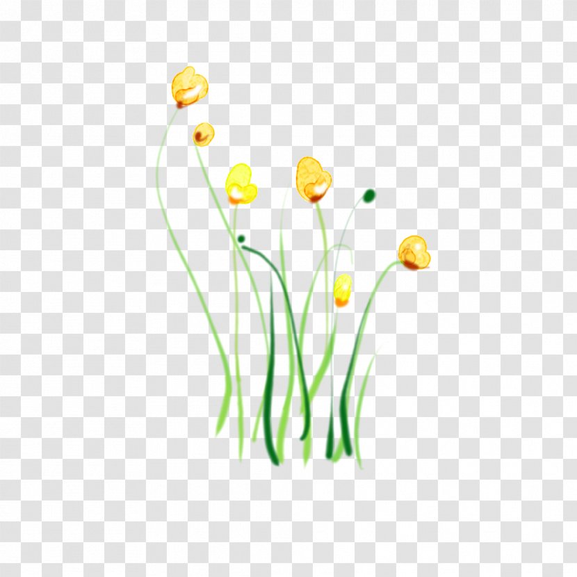 Tulip Flower Clip Art - Flowering Plant Transparent PNG