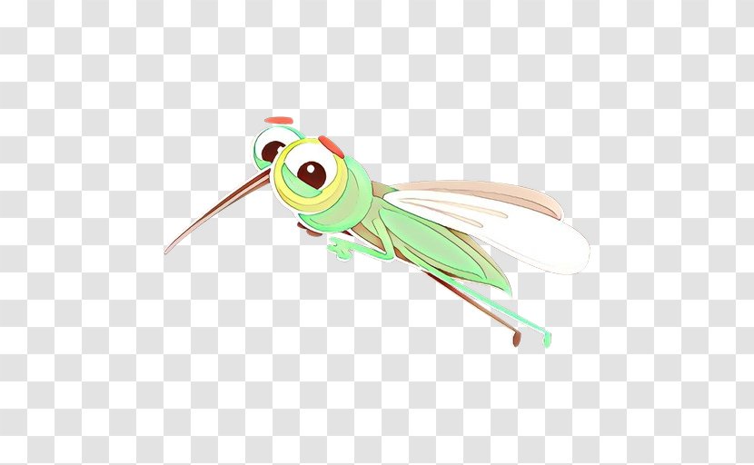 Insect - Cricketlike - Fly Cicada Transparent PNG