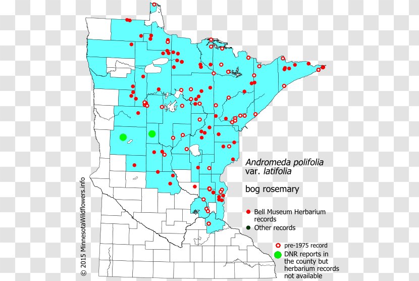 Minnesota Map Line Land Lot Point Transparent PNG