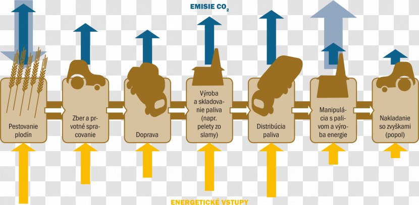 Product Life-cycle Management Biological Life Cycle Energetics Cyclus - Need - Slamy Transparent PNG