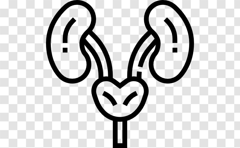 Human Kidney - Silhouette - Watercolor Transparent PNG