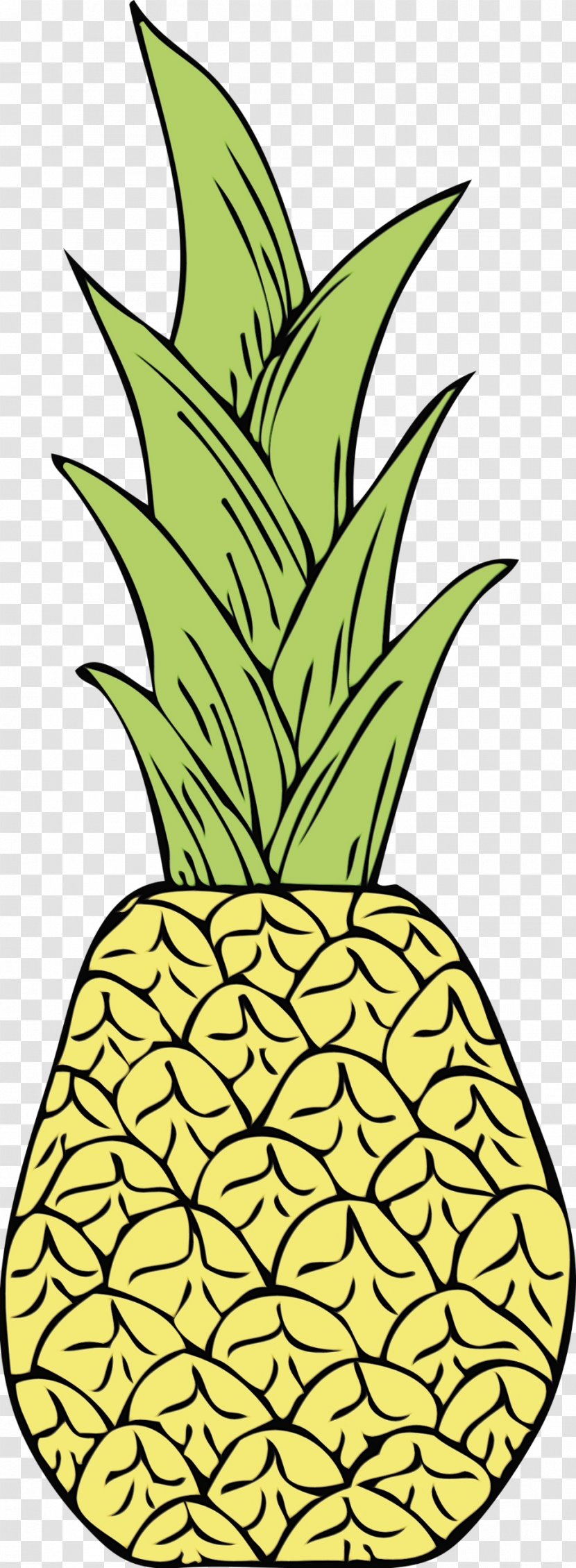 Pineapple - Houseplant - Fruit Transparent PNG