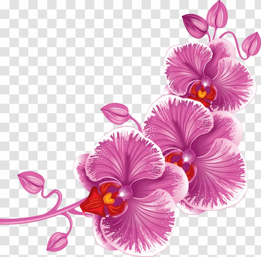 Clip Art - Cut Flowers - Mary Transparent PNG