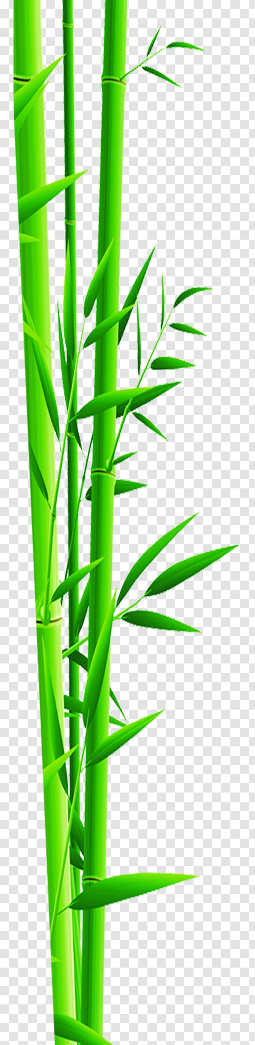 Bamboo Bamboe Gratis Green - Grass - Hand Painted Transparent PNG