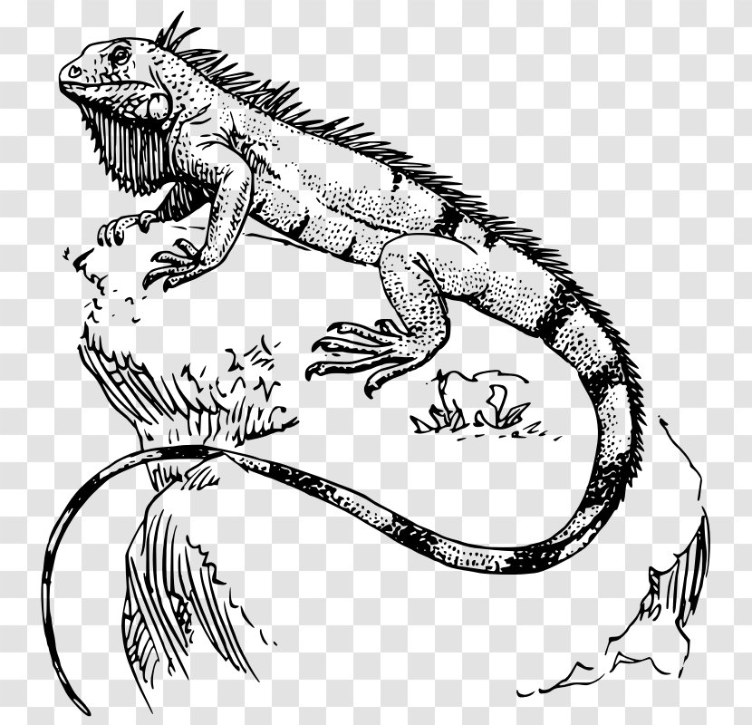 Lizard Reptile Green Iguana Polynesia Tattoo - Dinosaur - Public Domain Line Art Transparent PNG