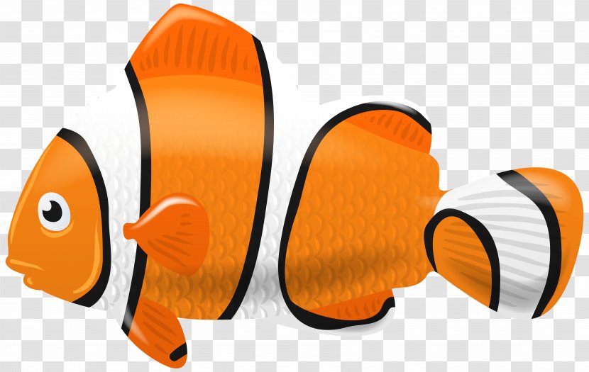 Clownfish Clip Art - Fishing Transparent PNG