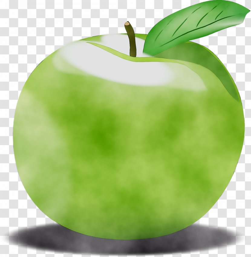 Granny Smith Green - Apple - Tree Transparent PNG