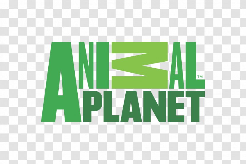 Animal Planet Dog Television Channel Show - Logo - Stone Transparent PNG