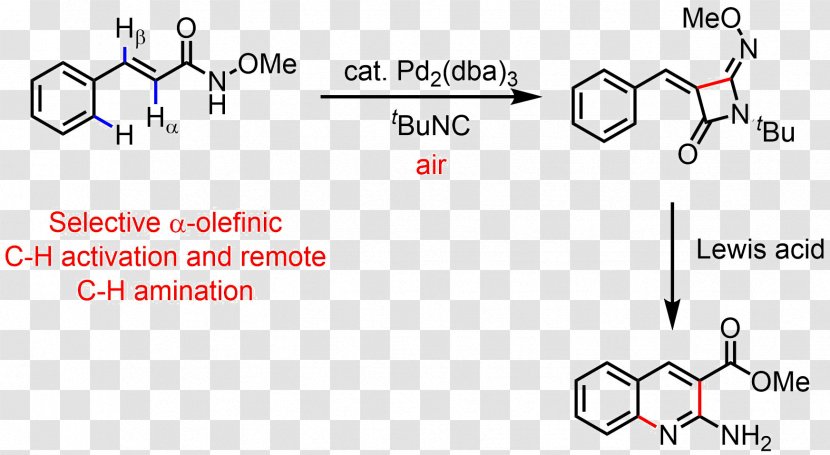 Benzimidazole Carbon–hydrogen Bond Activation Organic Chemistry Chemical Reaction - Triangle - Carbonhydrogen Transparent PNG