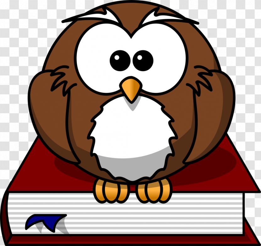 Owl Book Cartoon Clip Art - Artwork Transparent PNG