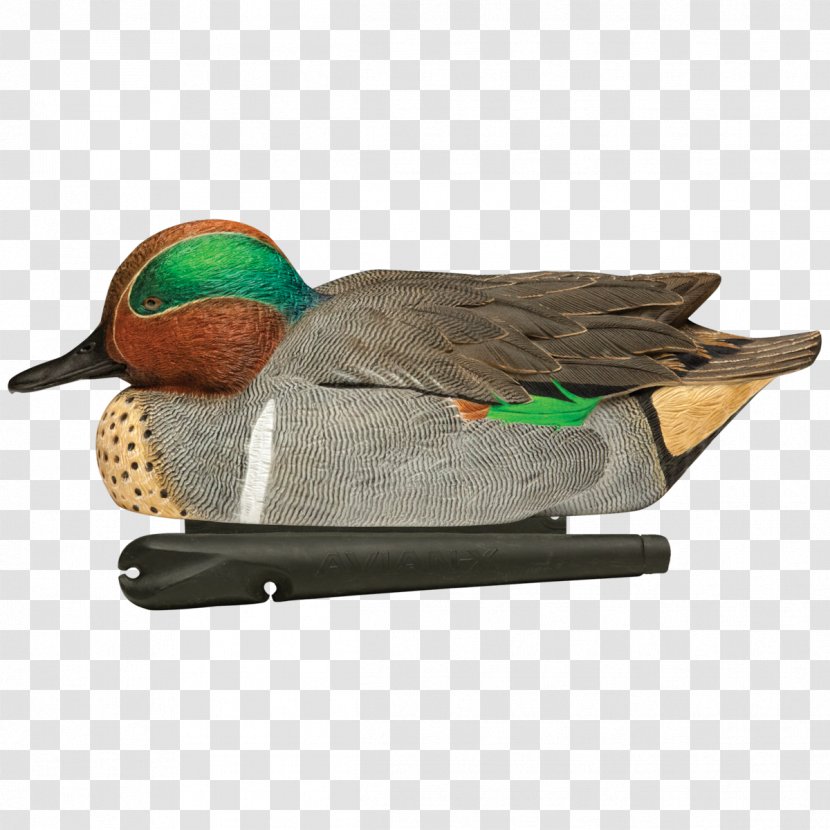 Mallard Duck Decoy Green-winged Teal Hunting - Greenwinged - Canada Goose Transparent PNG