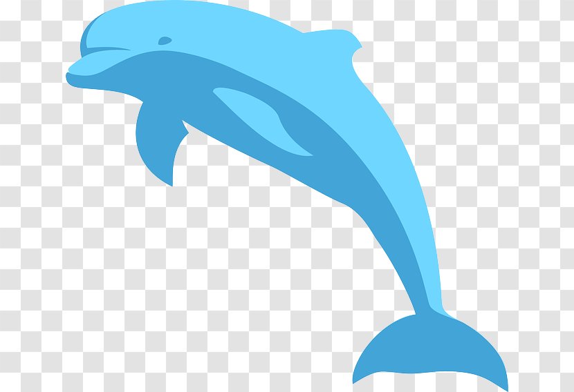 Spinner Dolphin Clip Art - Oceanic - Holiday Cliparts Transparent PNG