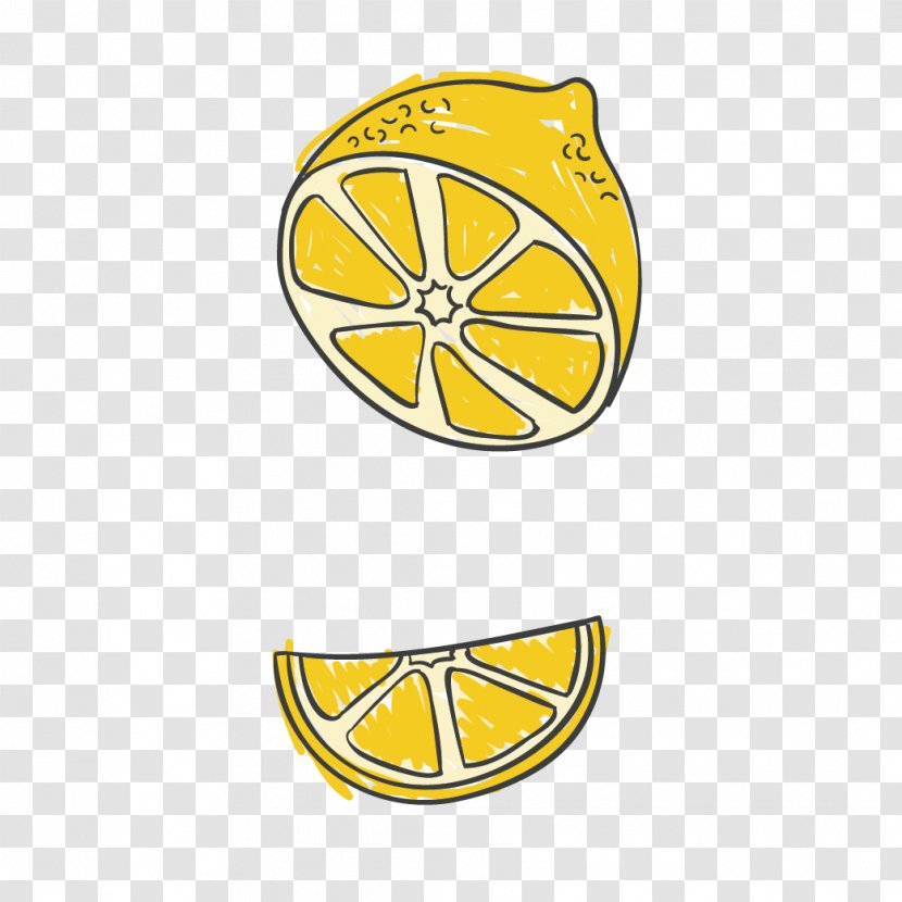 Euclidean Vector Lemon - Drawing - Painted Transparent PNG
