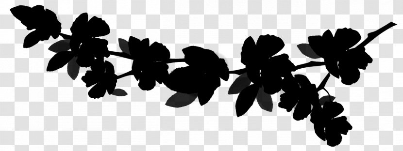 Black & White - Leaf - M Flowering Plant Font Transparent PNG
