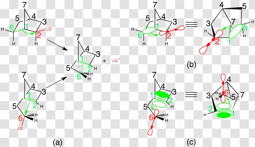 2-Norbornyl Cation Norbornane Carbocation Leaving Group - Text - Pi Transparent PNG