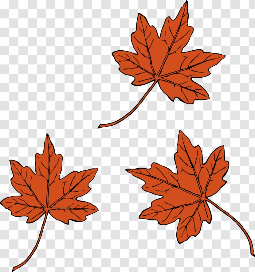 Red Maple Leaf - Black - Silver Branch Transparent PNG