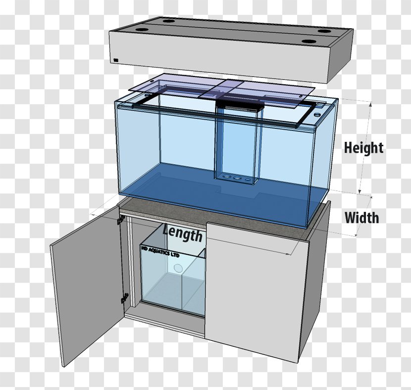 Reef Aquarium Tropical Aquariums ND Aquatics Ltd Freshwater Stingrays - Pump - Glass Tank Transparent PNG