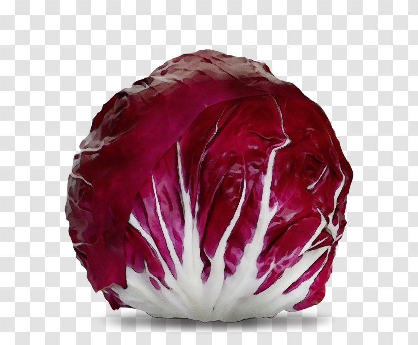 Red Cabbage Radicchio Leaf Vegetable - Plant - Magenta Transparent PNG