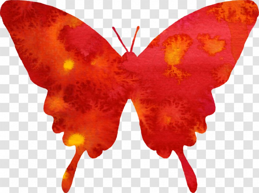 Butterfly Watercolor Painting Red Clip Art - Invertebrate Transparent PNG