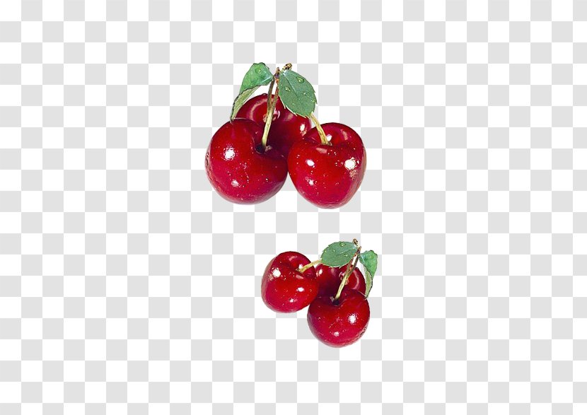 Cherry Eating Nutrition Nutrient Fruit - Vegetable Transparent PNG