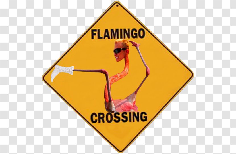 Duck Crossing Traffic Sign Aluminium - Medical - Page Rip Transparent PNG