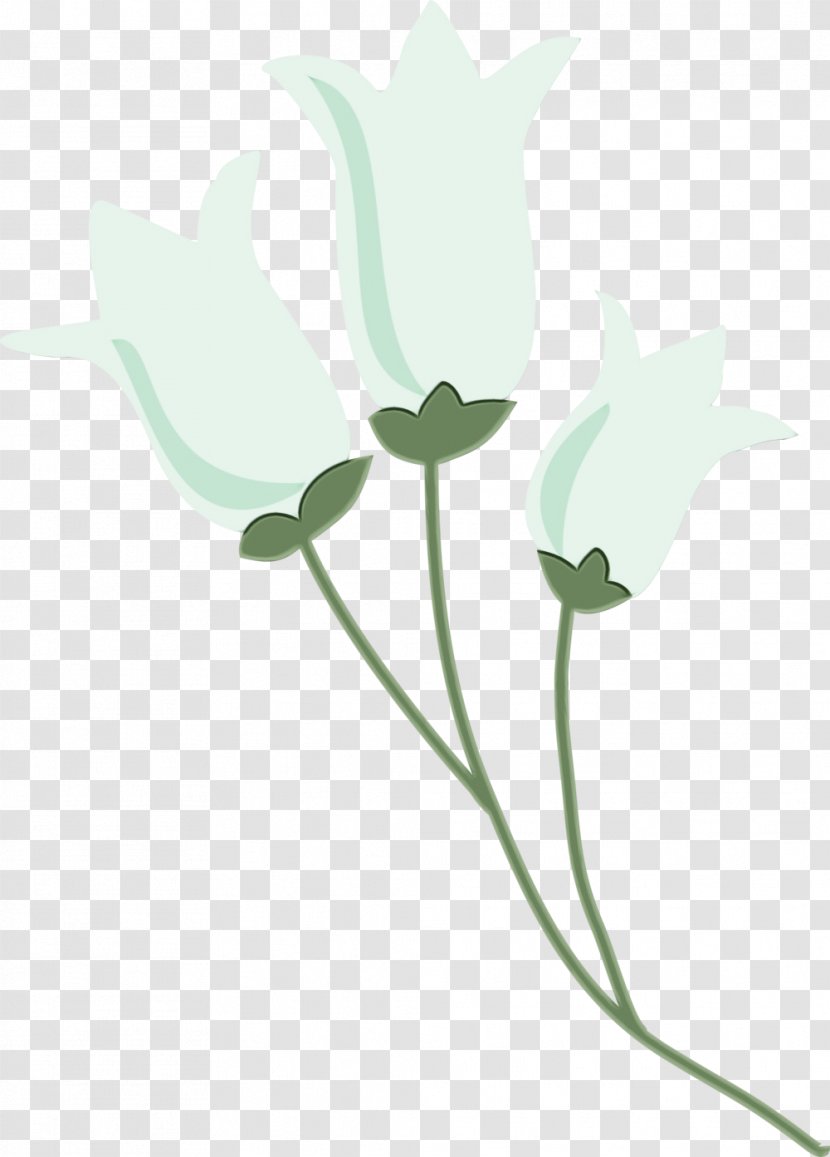Flower Plant Flowering Pedicel Petal - Tulip Stem Transparent PNG