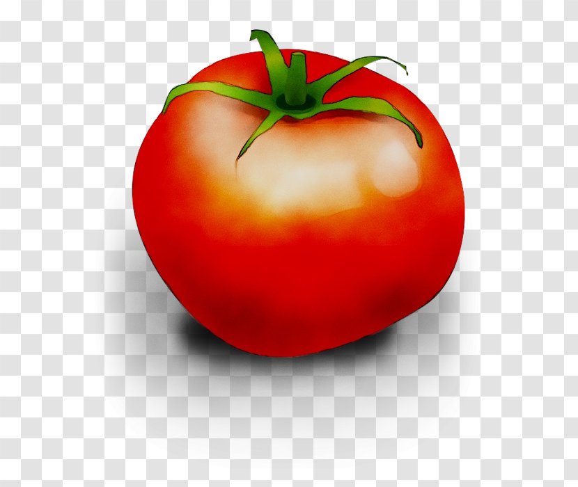 Plum Tomato Diet Food Bush - Superfood Transparent PNG