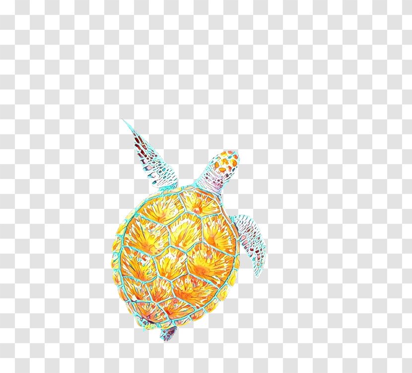Sea Turtle Background - Tortoise - Reptile Ananas Transparent PNG