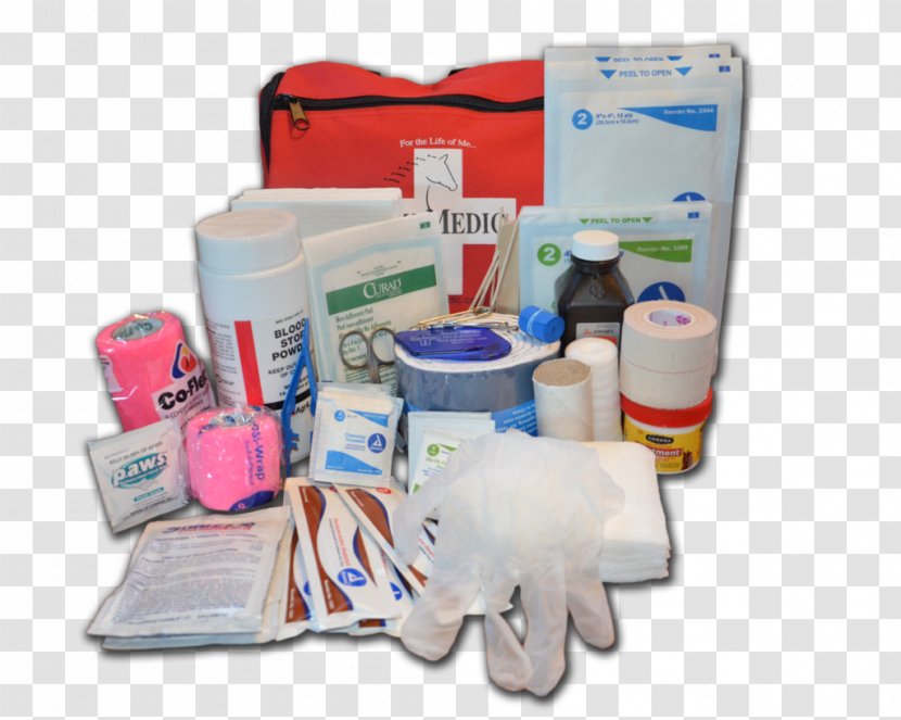 Health Care First Aid Kits Dressing Wound Healing Exudate - Cartoon - Horse Transparent PNG