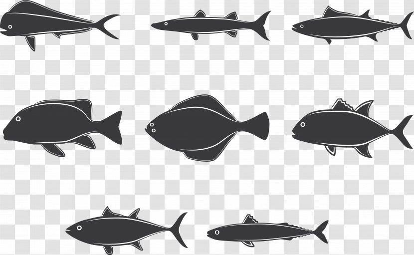 Fishing Clip Art - Whales Dolphins And Porpoises - Fish Assemblage Transparent PNG