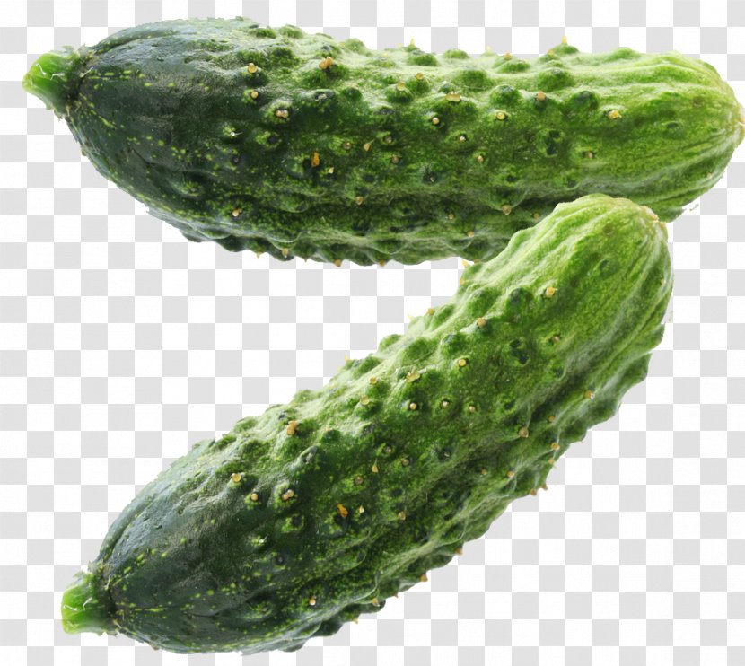 Pickled Cucumber Spreewald Gherkins Pickling Maroon - Vegetable Transparent PNG