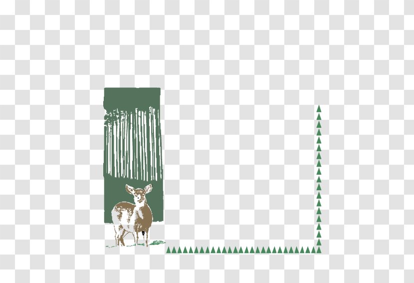 Deer Illustration - Forest Transparent PNG