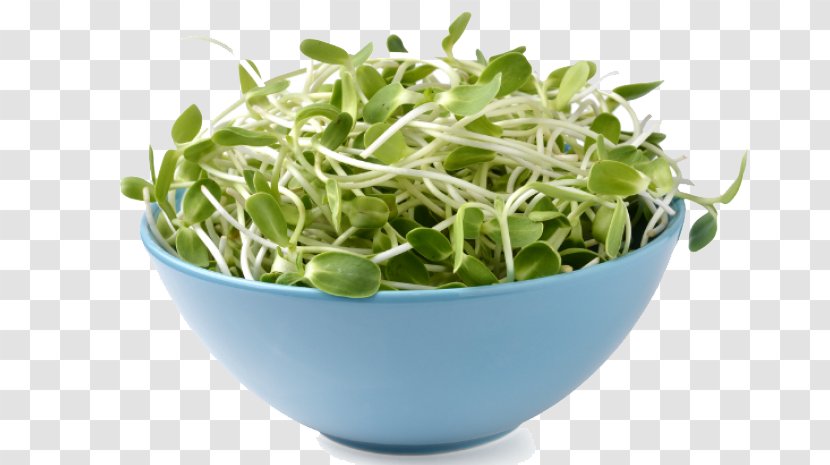 Poetry Literature Sprouting Alfalfa Sprouts - Spring Greens - Image Transparent PNG