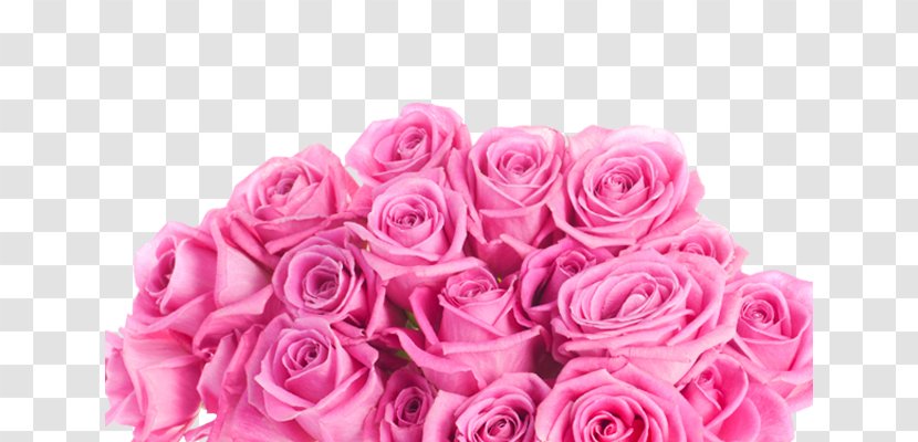 Still Life: Pink Roses Flower - Artificial - A Bouquet Of Transparent PNG