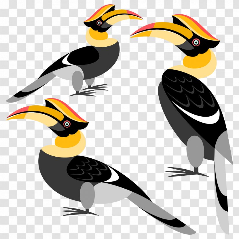 Bird Great Hornbill Rhinoceros - Fauna - Parrot Transparent PNG