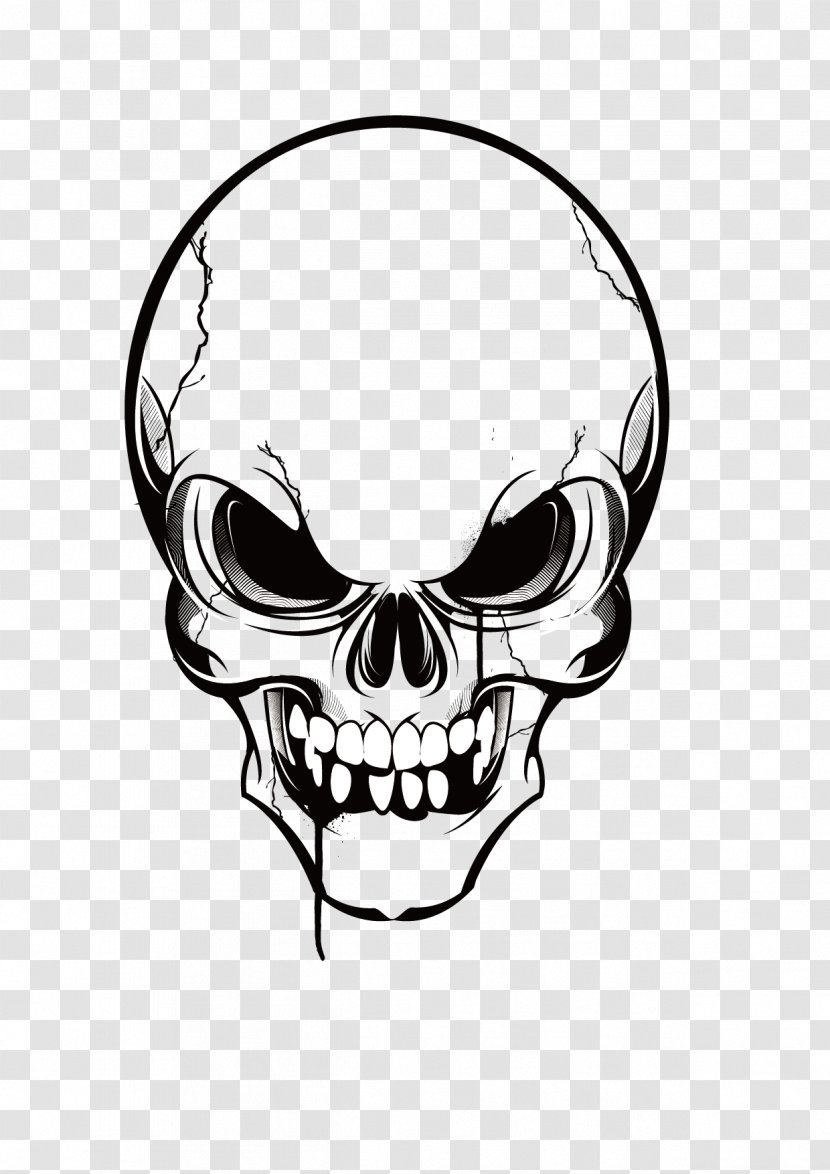 Skull Clip Art - Bone - Skulls Transparent PNG