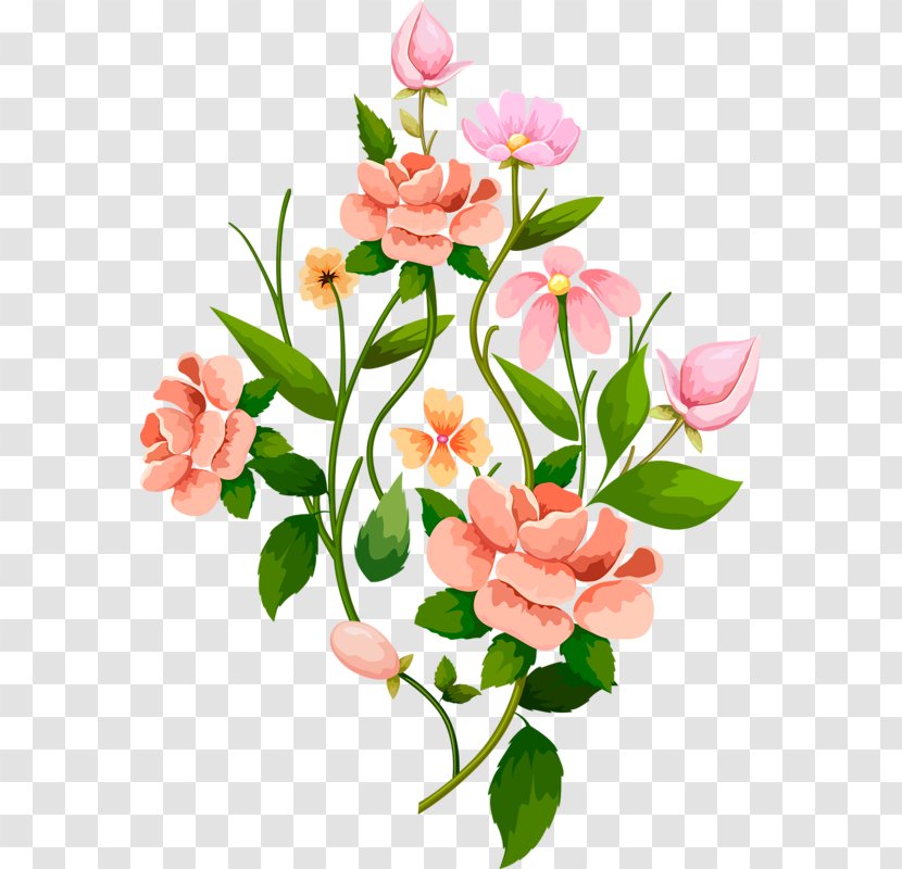 Flower Floral Design - Branch Transparent PNG
