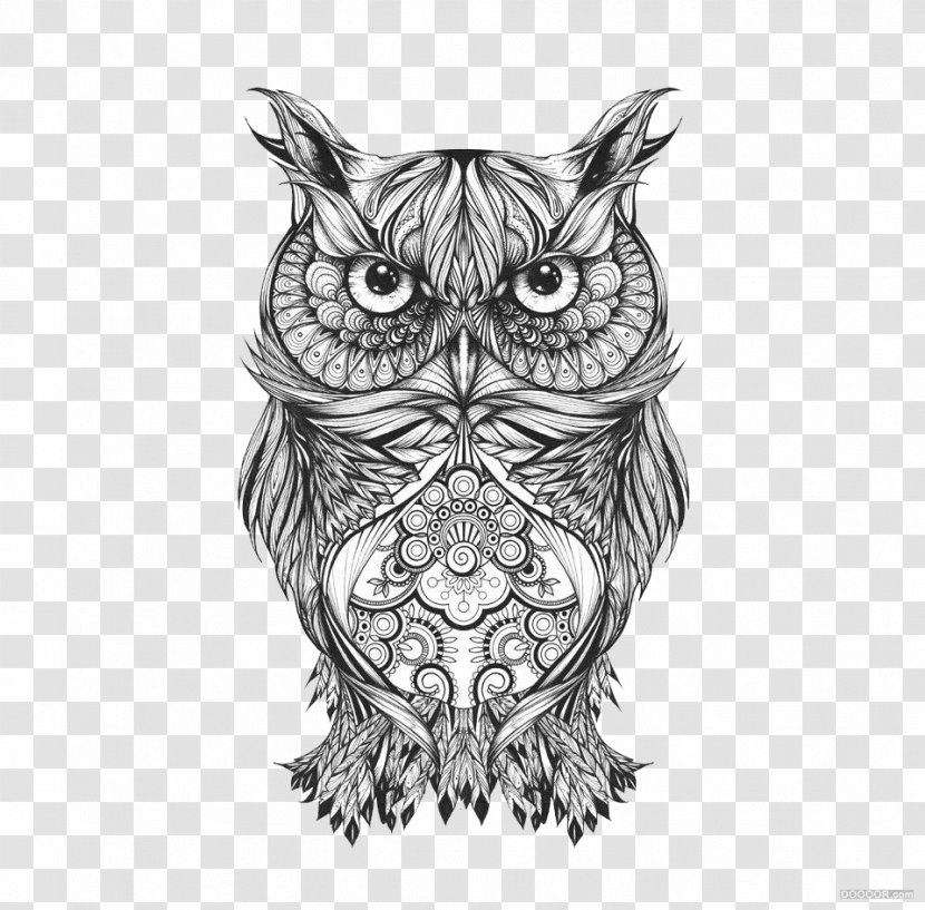 Owl Visual Arts Drawing Sketch - Black And White National Pattern Transparent PNG