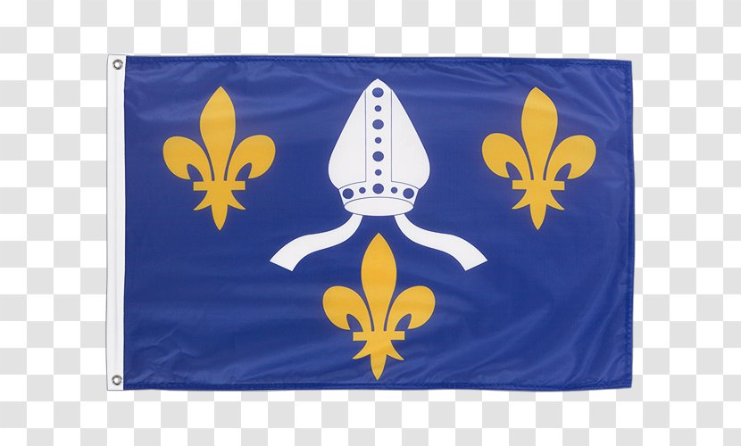Saintonge Aunis Saintes County Of Foix Angoumois - Historical Province France - Flag Transparent PNG