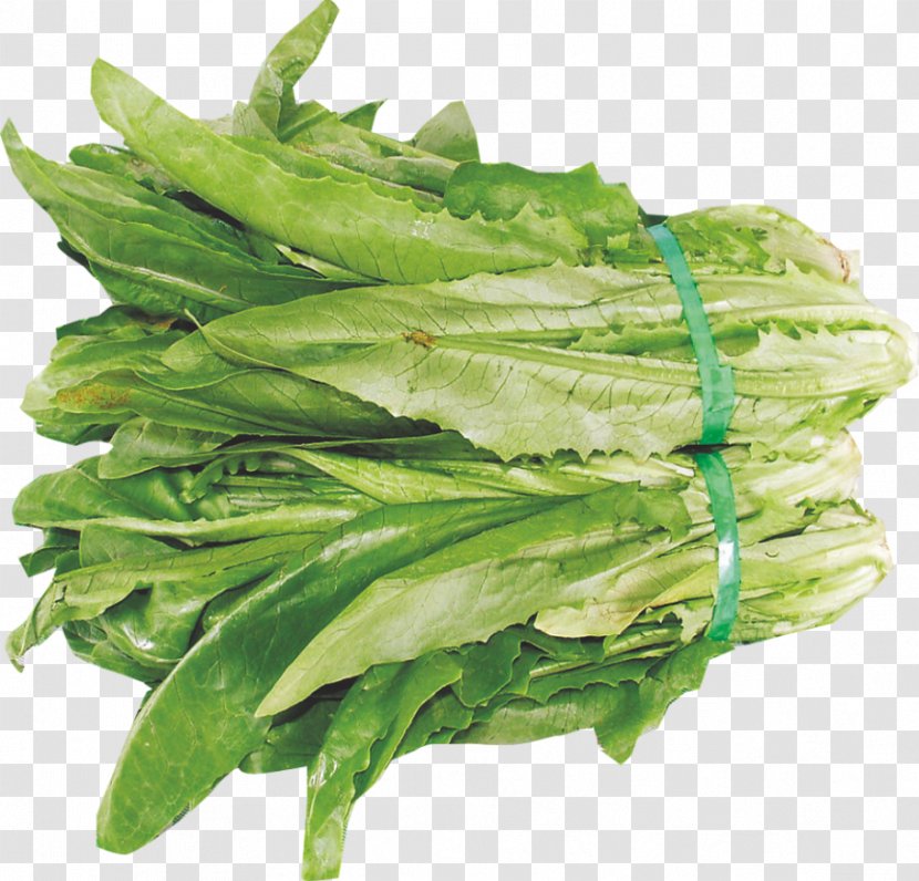 Celtuce Romaine Lettuce Leaf Vegetable - Vegetarian Food - Wheat Oil Transparent PNG