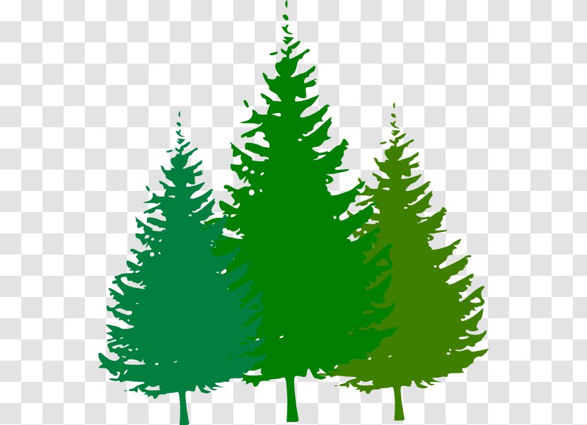 Free Content Pine Clip Art - Christmas Tree - Cartoon Forest Pictures Transparent PNG
